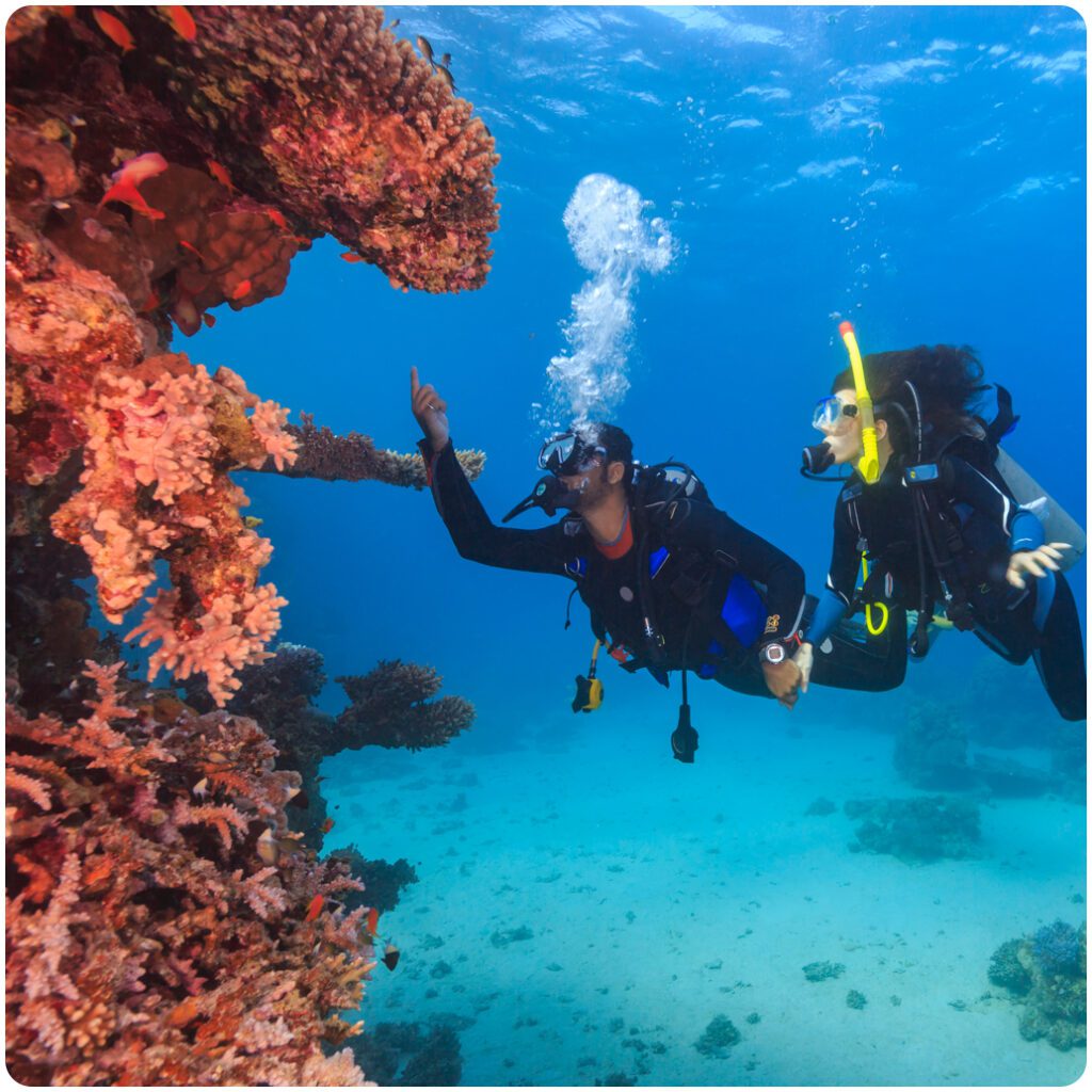 Blog - Scuba Diving in Andaman