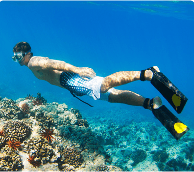 Discover Andaman Page - Snorkelling